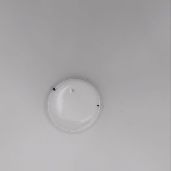 Vintage Dragon Ware Sango China Moriage Set of 4 Cups and Saucers Japan MCM - Picture 6 of 7